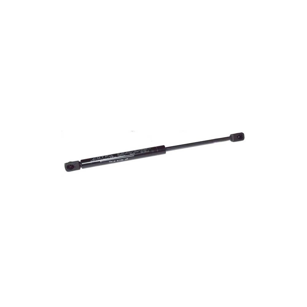 Vérin à Gaz Renault Cergos 330 335 340 345 350 pour RENAULT