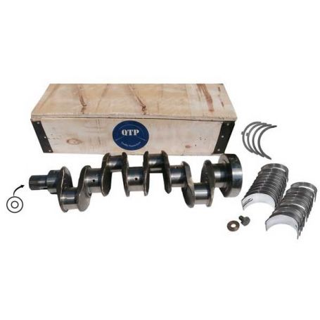 Vilebrequin 236 248 Joint à lèvre c / o Roulements 1004 pour MASSEY FERGUSON Vilebrequin 236 248 Joint à lèvre c / o Roulements 1004 pour MASSEY FERGUSON