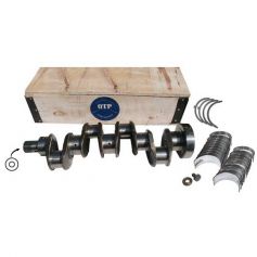 Vilebrequin 236 248 Joint à lèvre c / o Roulements 1004 pour MASSEY FERGUSON Vilebrequin 236 248 Joint à lèvre c / o Roulements 1004 pour MASSEY FERGUSON
