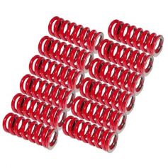 Ressort d'embrayage rouge Heavy Duty pour MASSEY FERGUSON Ressort d'embrayage rouge Heavy Duty pour MASSEY FERGUSON