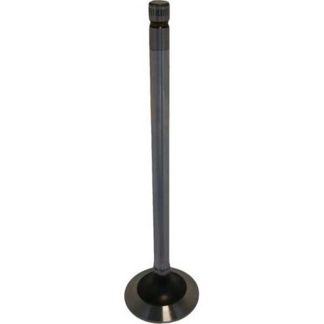 Soupape d'échappement John Deere 6068 Niveau 3 24 Valv pour MASSEY FERGUSON