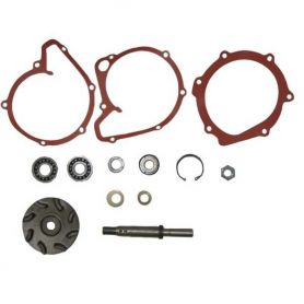 Kit de réparation de Pompe à eau T6.354 pour MASSEY FERGUSON