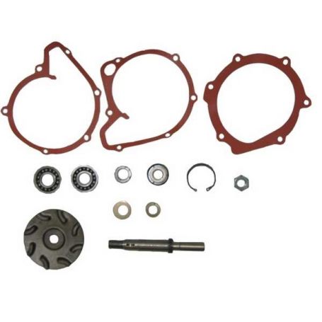 Kit de réparation de Pompe à eau T6.354 pour MASSEY FERGUSON Kit de réparation de Pompe à eau T6.354 pour MASSEY FERGUSON