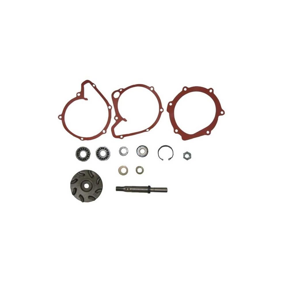 Kit de réparation de Pompe à eau T6.354 pour MASSEY FERGUSON