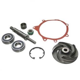 Kit de réparation de Pompe à eau 2620 - 2720 6.354.4 pour MASSEY FERGUSON