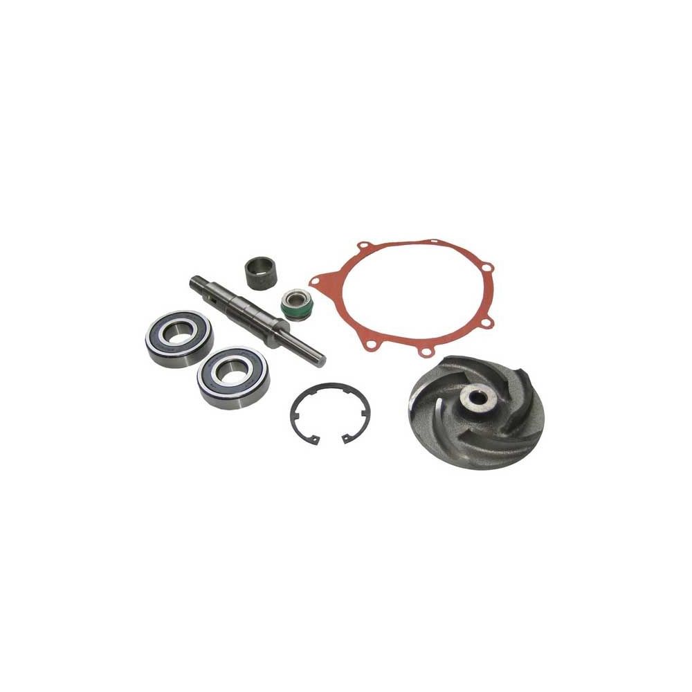 Kit de réparation de Pompe à eau 2620 - 2720 6.354.4 pour MASSEY FERGUSON