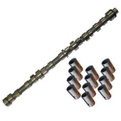Kit d'arbre à cames John Deere 6359T 6359D 6068T pour JOHN DEERE Kit d'arbre à cames John Deere 6359T 6359D 6068T pour JOHN DEERE