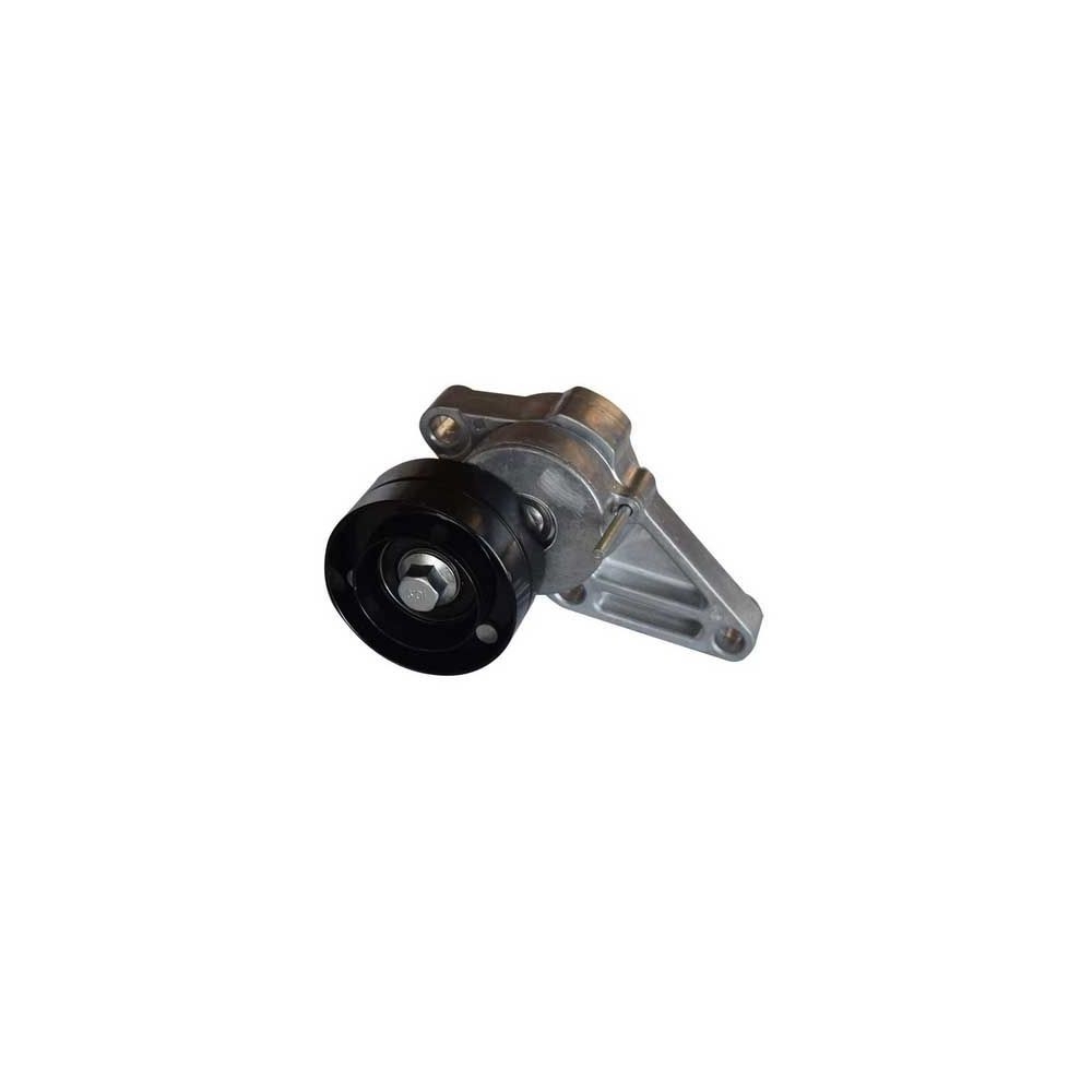 Tendeur de courroie de ventilateur John Deere 6100 - 6900 pour JOHN DEERE