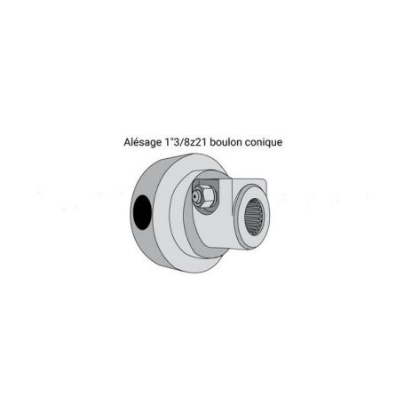 Moyeu limiteur à cames débrayable avec alésage 1"3/8z21
