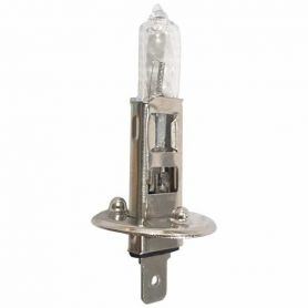 AMPOULE 12V-55W H1 RÉF. 83240907 - KUHN