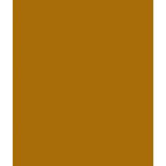 Peinture 1 L Massey Ferguson Or - Tractol pour MASSEY FERGUSON Peinture 1 L Massey Ferguson Or - Tractol pour MASSEY FERGUSON