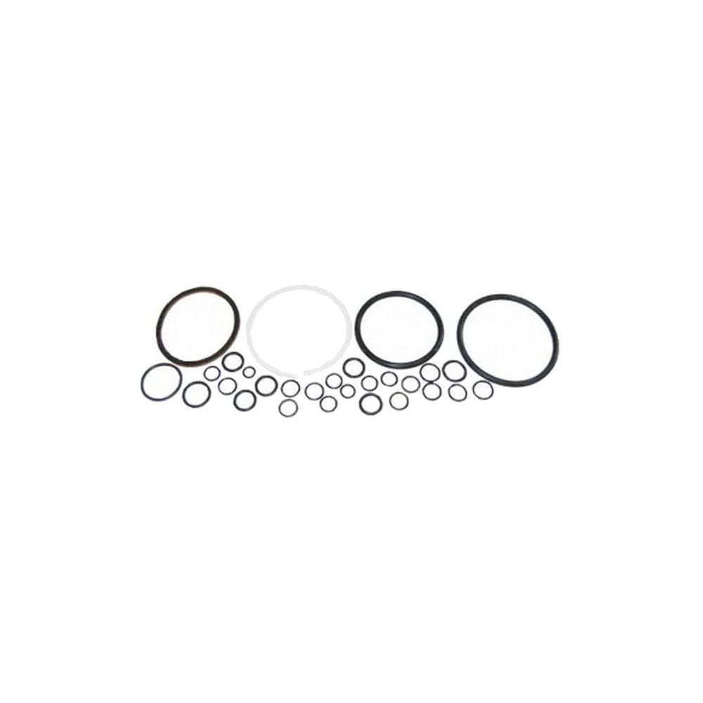 Kit de réparation de cylindre Ford 10 100 30 40 TS TW pour FORD