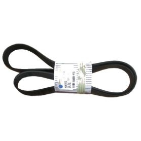 Courroie de ventilateur Ford TSA 100-135 T6000 8PK1551 pour FORD