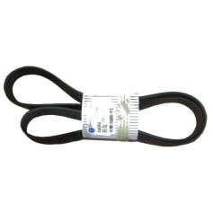 Courroie de ventilateur réf. 4899178 - Ford New Holland