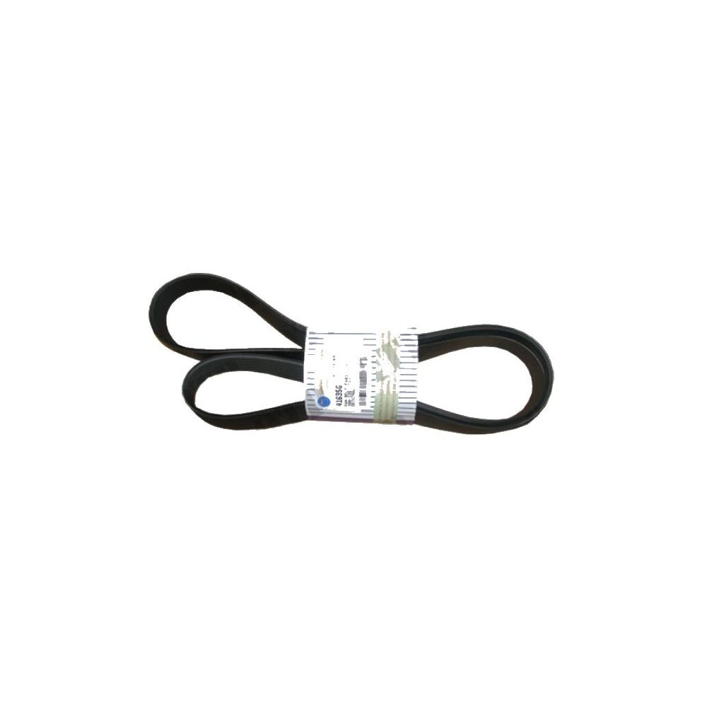 Courroie de ventilateur Ford TSA 100-135 T6000 8PK1551 pour FORD