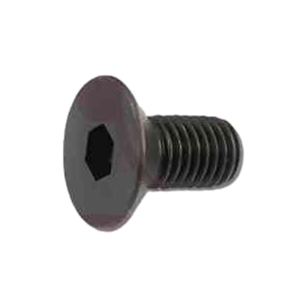 VIS M6 X 10MM