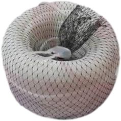 Lien creux extensible blanc photodégradable Ø 5,0 mm - 100 ml/bobine Lien creux extensible blanc photodégradable Ø 5,0 mm - 100 ml/bobine