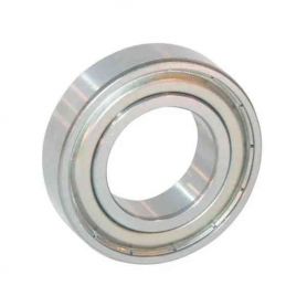COUSSINET RÉF. SKF6006ZZ - MASSEY FERGUSON