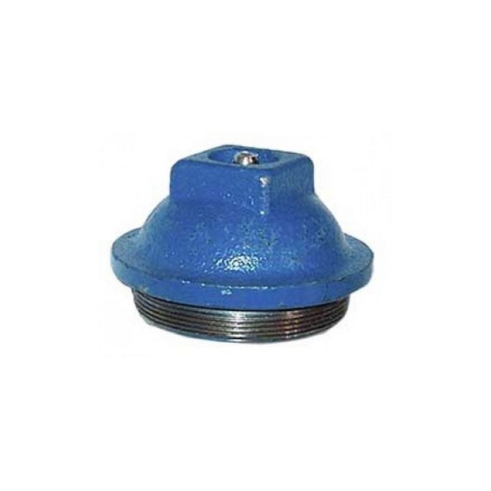 Bouchon de moyeu réf. 81811270 - Ford New Holland