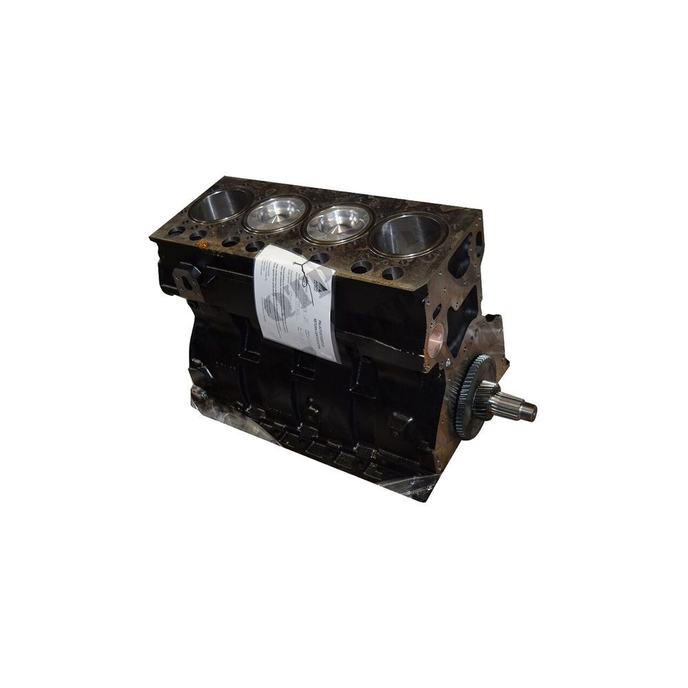 Moteur court SISU 44 CWA-2V SX pour MASSEY FERGUSON