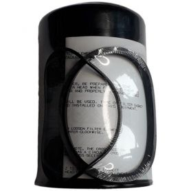 FILTRE HYDRAULIQUE