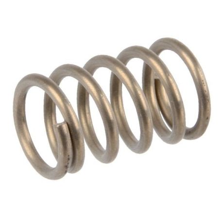 RESSORT POUR VANNE-FILTRE Réf. 7318300 AMAZONE RESSORT POUR VANNE-FILTRE Réf. 7318300 AMAZONE