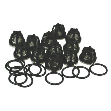 KIT COMPLET CLAPET POMPE BP 250/280 Réf. ZF062 AMAZONE KIT COMPLET CLAPET POMPE BP 250/280 Réf. ZF062 AMAZONE
