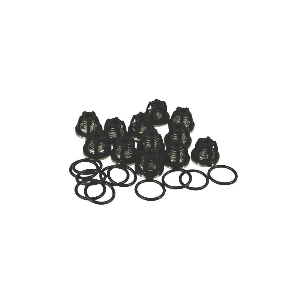 KIT COMPLET CLAPET POMPE BP 250/280 Réf. ZF062 AMAZONE