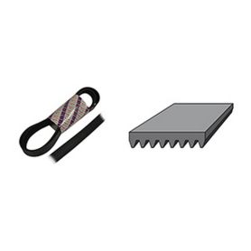 Courroie plate 8PK - 1795 mm
