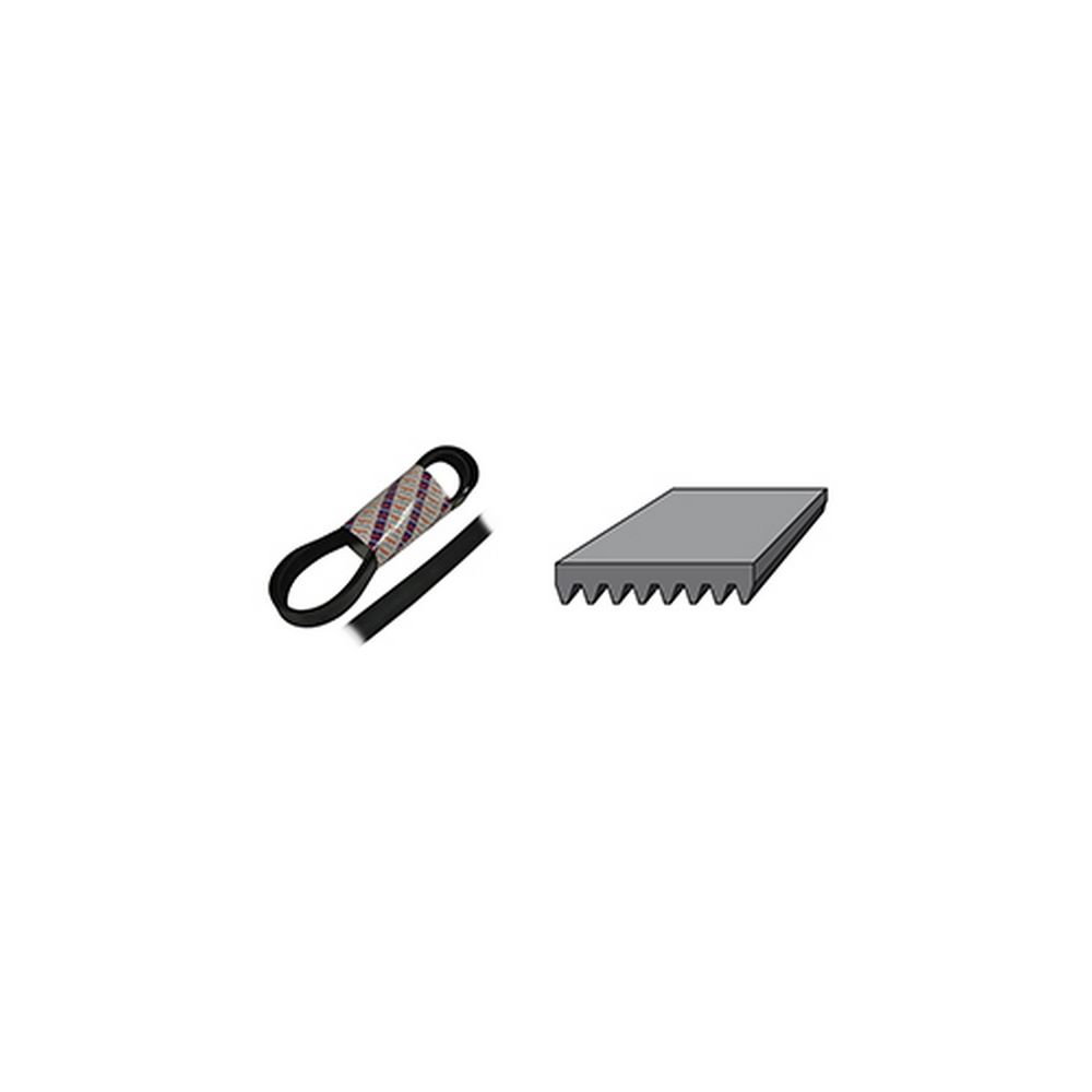 Courroie plate 8PK - 1795 mm