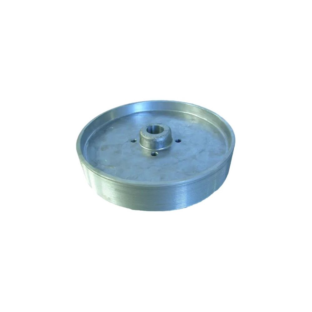 Poulie de turbine diamètre 250 RÉF. 20077851 pour RIBOULEAU MONOSEM