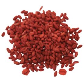Raticide et souricide - Broditec blé - Seau de 5kg - Zapi