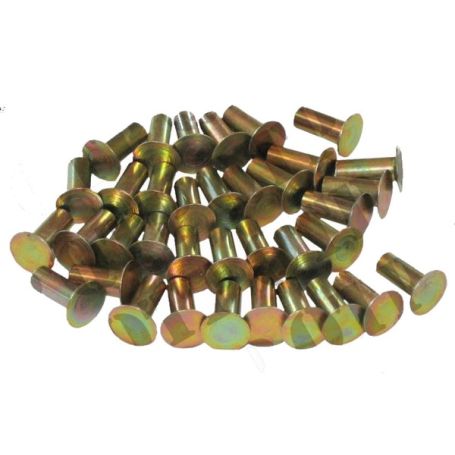 Rivets pour 1020 de doublure (Paquet de 48) pour MASSEY FERGUSON Rivets pour 1020 de doublure (Paquet de 48) pour MASSEY FERGUSON