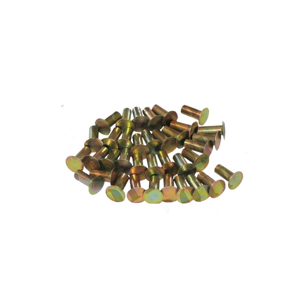 Rivets pour 1020 de doublure (Paquet de 48) pour MASSEY FERGUSON