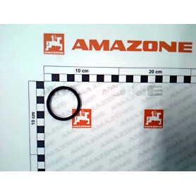 Joint tor. 38 X 4 0210610 Amazone
