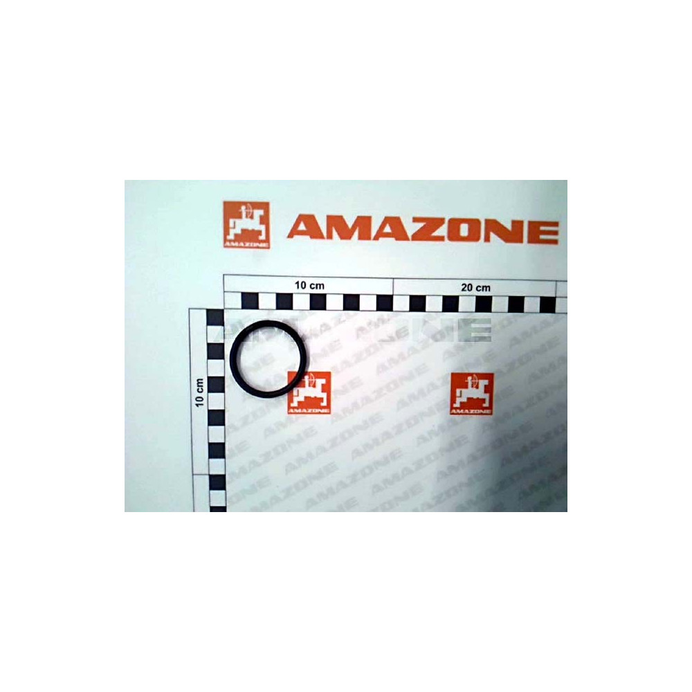 Joint tor. 38 X 4 0210610 Amazone