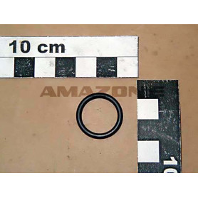 Joint tor. 17.13 X 2.62 0269600 Amazone