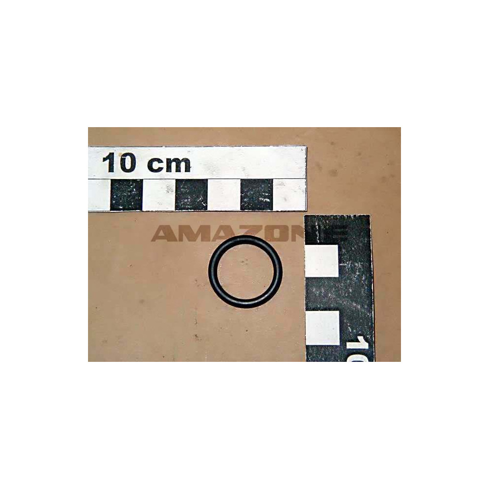 Joint tor. 17.13 X 2.62 0269600 Amazone