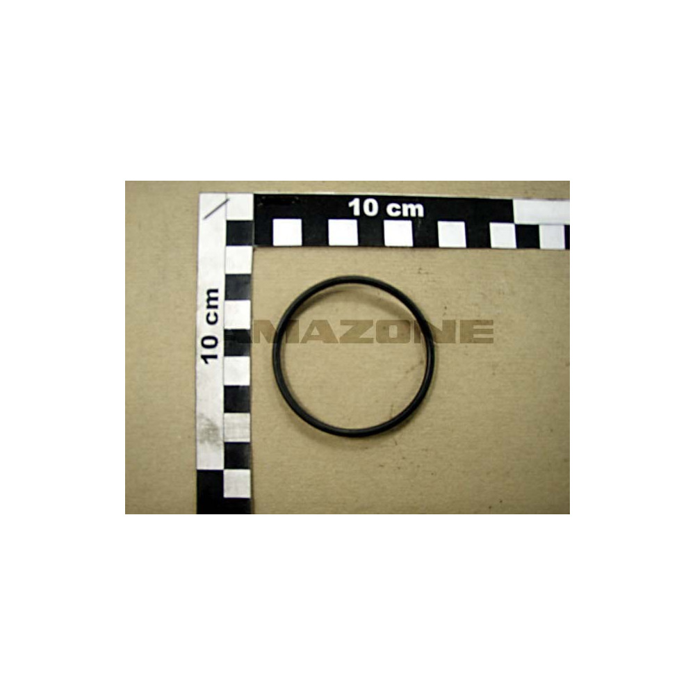 Joint tor. 52 X 3 0233600 Amazone