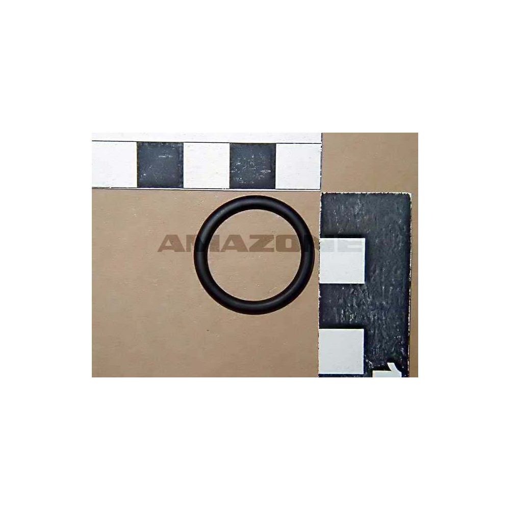 Joint tor. 20.7 X 2.6 0273600 Amazone