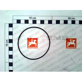 Joint tor. 80 X 2 0290600 Amazone