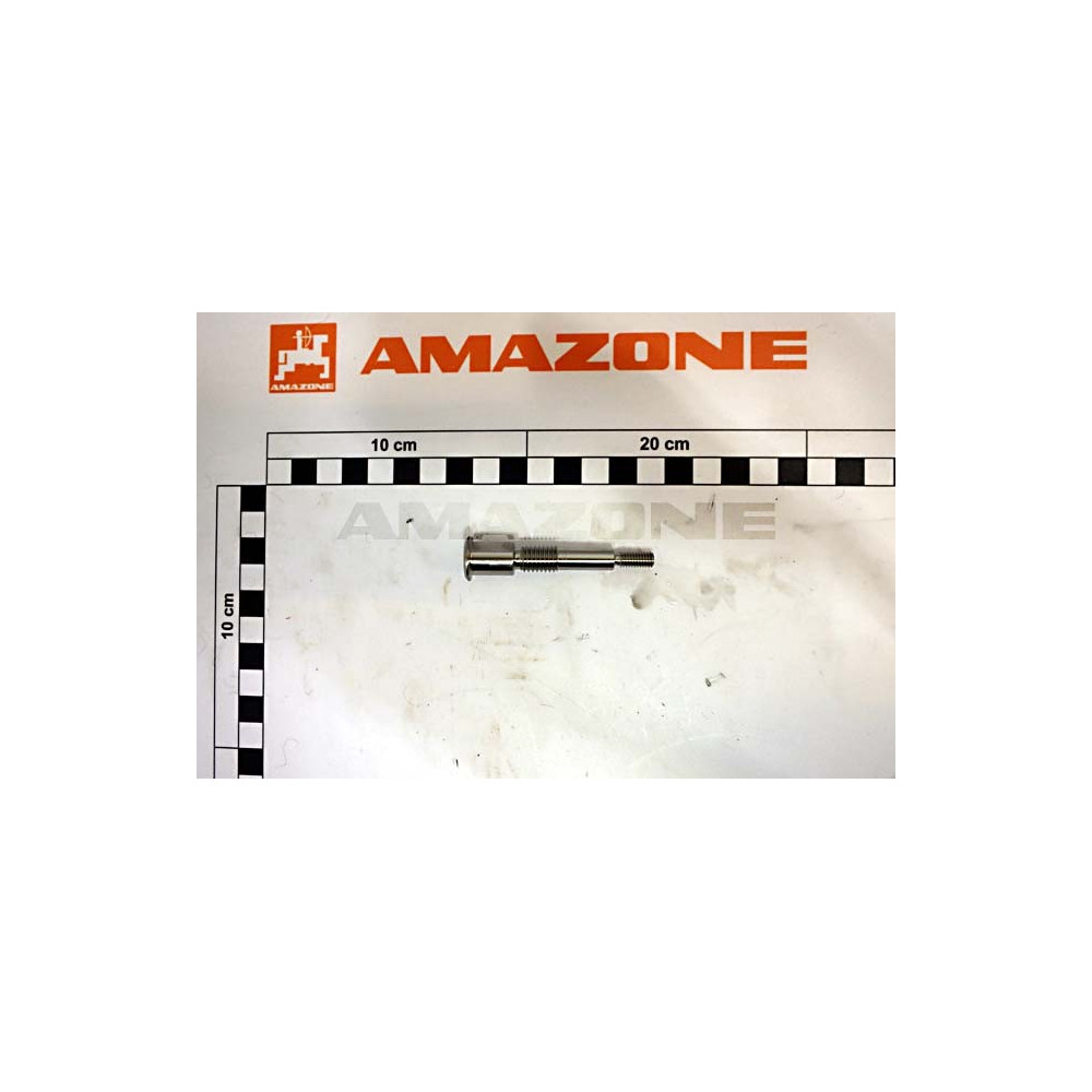 Axe 100097 Amazone