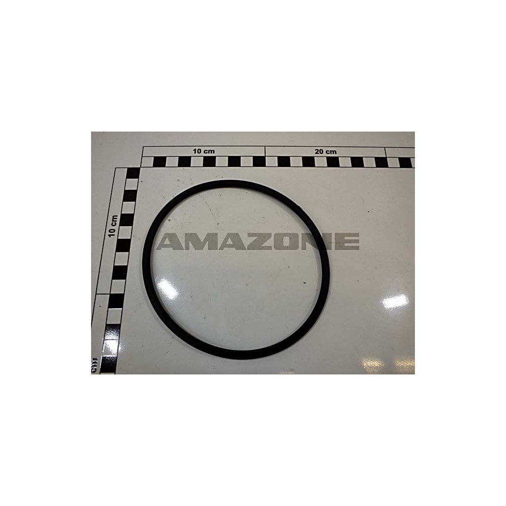 Joint torique 121 X 5.33 101737 Amazone