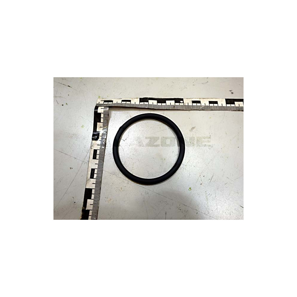 Joint torique 65 X 5.33 101738 Amazone