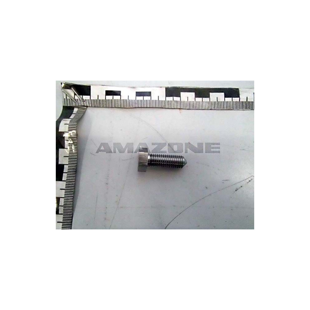 Vis 16 X 30 102382 Amazone