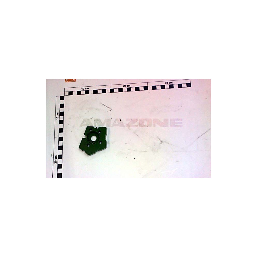 Plaque laterale gauche 106330 Amazone
