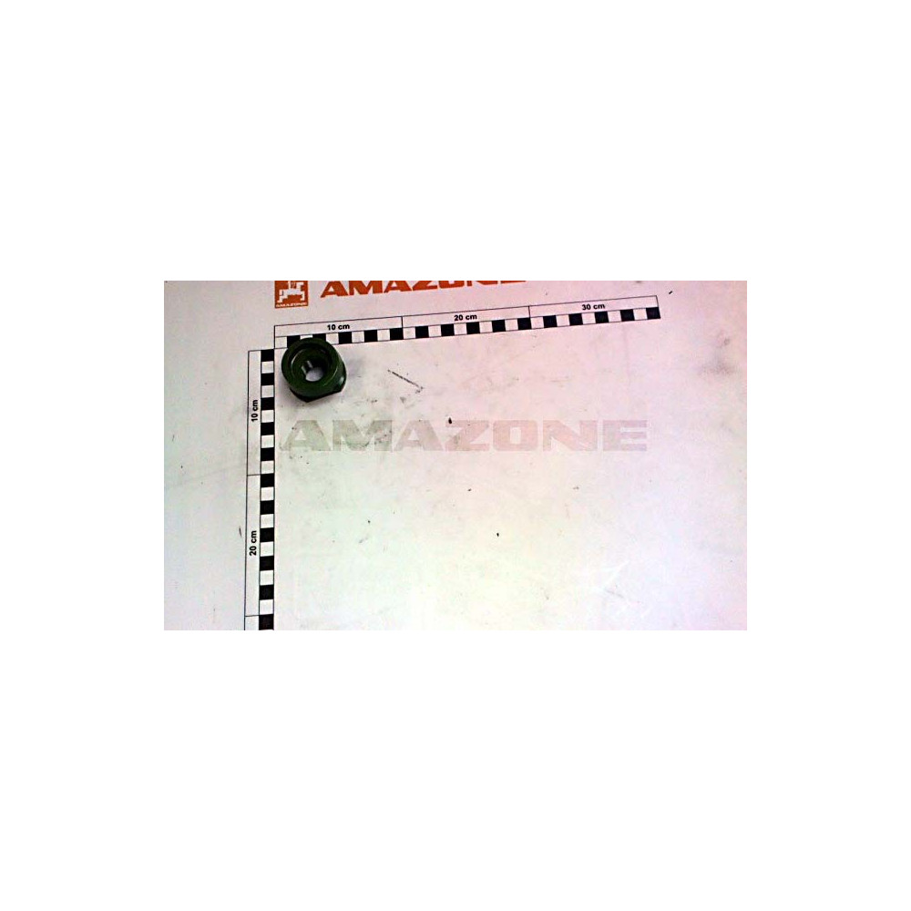 Excentrique 106399 Amazone