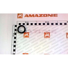 Bague d30.5 X 9.4 108753 Amazone