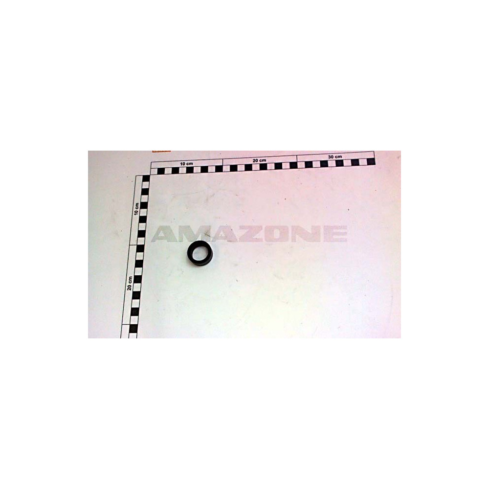 Bague de maintien 110926 Amazone