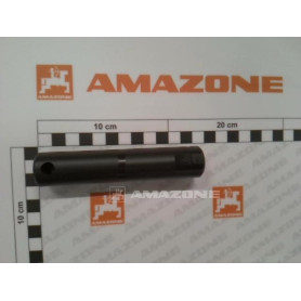 Arbre 112193 Amazone